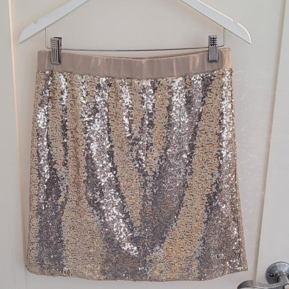 Sequined Skirt - Picture 1 of 6